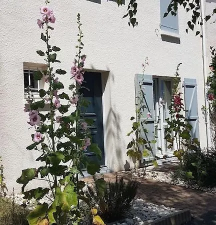 Maison Entre Vieux Port Et Minimes Hébergement de vacances *